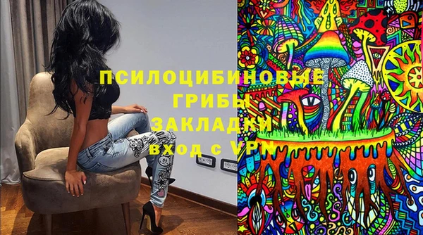 шишки Алексеевка