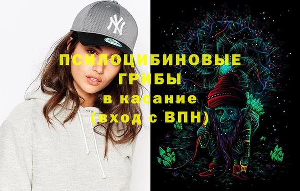 мяу мяу мука Алексин