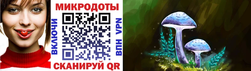 Псилоцибиновые грибы Cubensis  где продают наркотики  Белоозёрский 